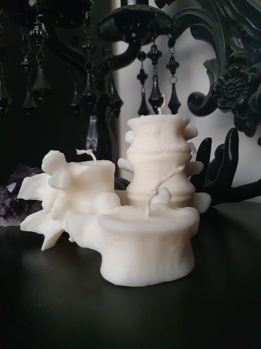 Vertebrae Candle Collection