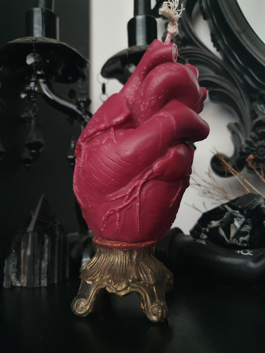Anatomical Heart Candle - Red