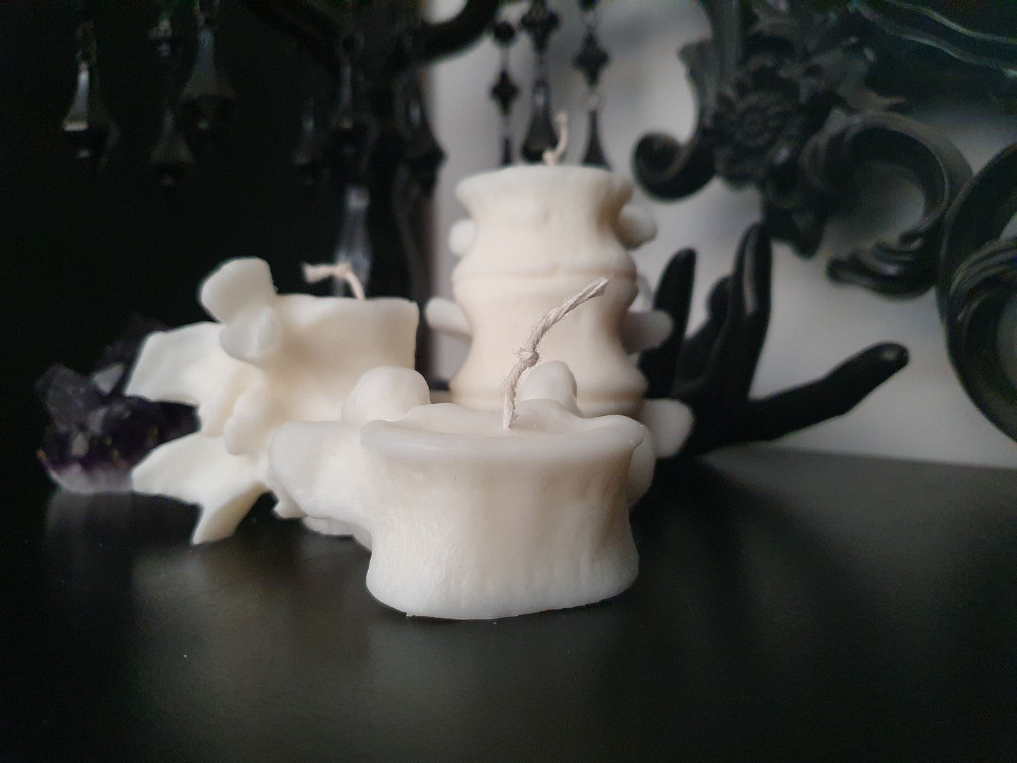 Vertebrae Candle Collection