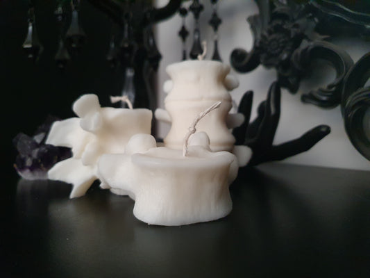 Vertebrae Candle Collection