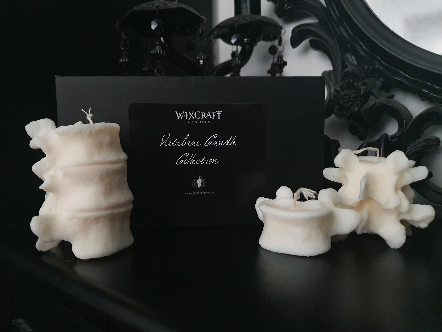 Vertebrae Candle Collection