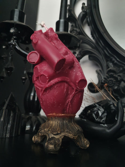 Anatomical Heart Candle - Red